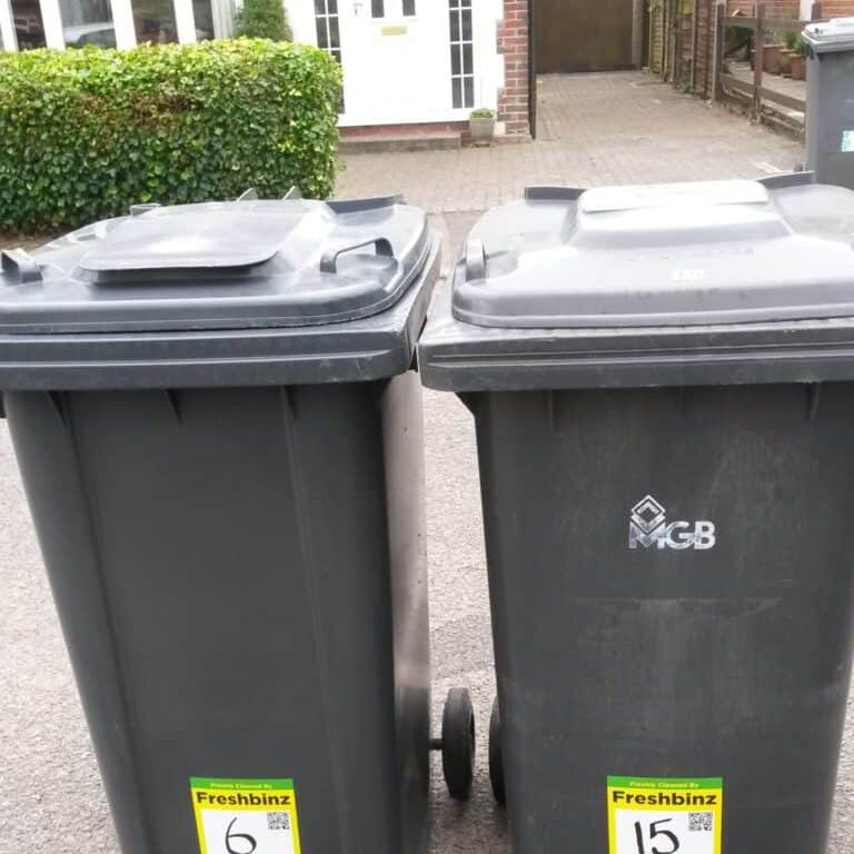 wheelie-bins-outside-house